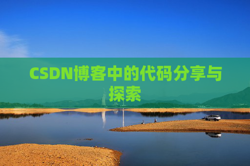CSDN博客中的代码分享与探索